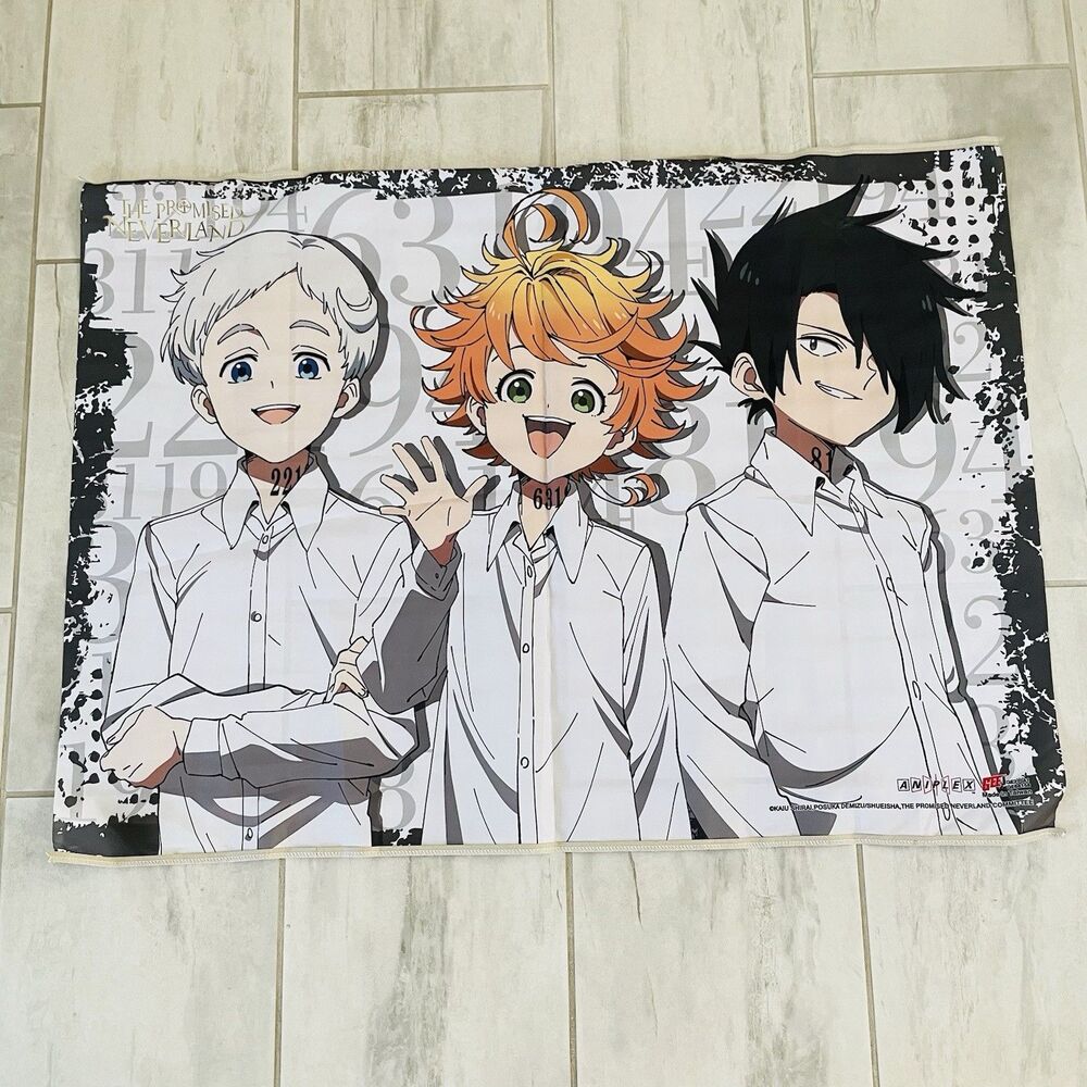 Promised Neverland Anime Fabric Wall Scroll Banner Emma Norman Ray No Rods FLAW